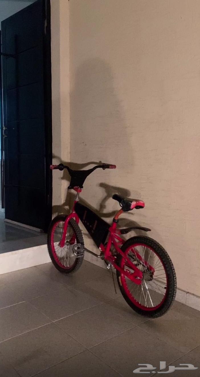 Cobra size 20 for sale, stored for 3 and a half months, highest offer64534536868611110