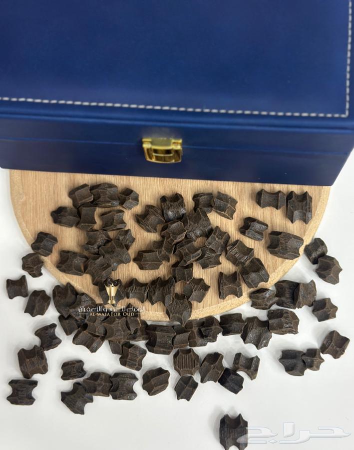 عود الفراشة (عود البيت )64534127576961112