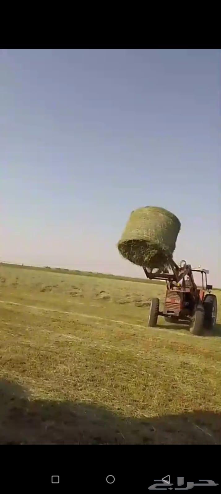 لفان رودس البيع64533119041795111