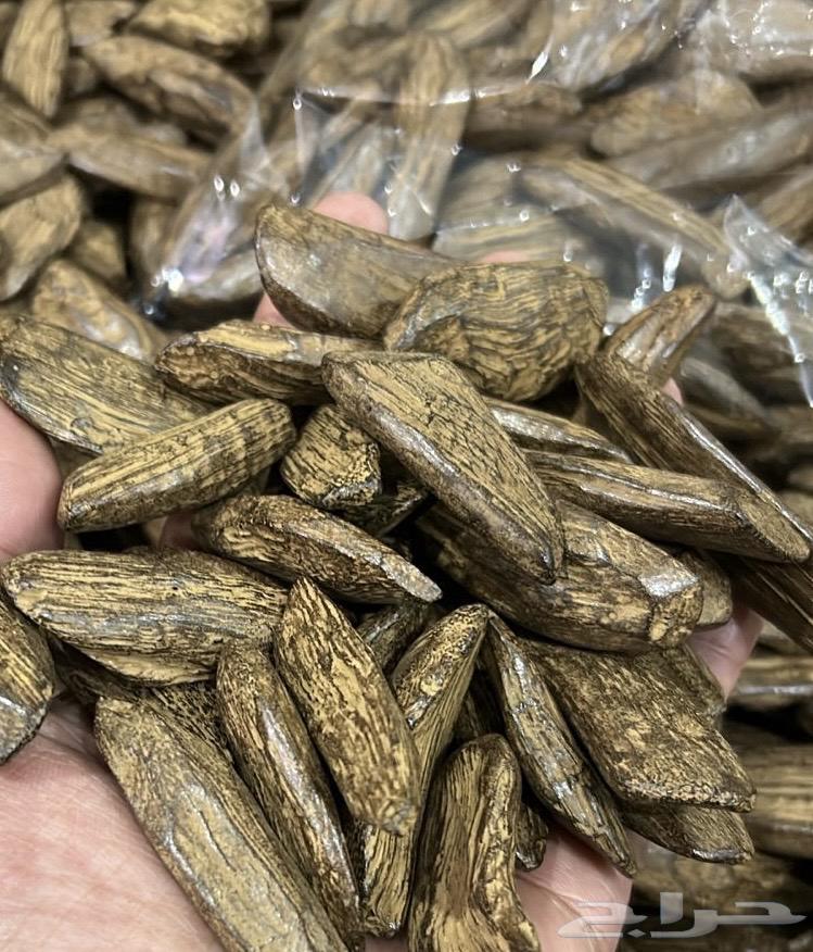 عود مروكي سوبر للمناسبات64527137060097110