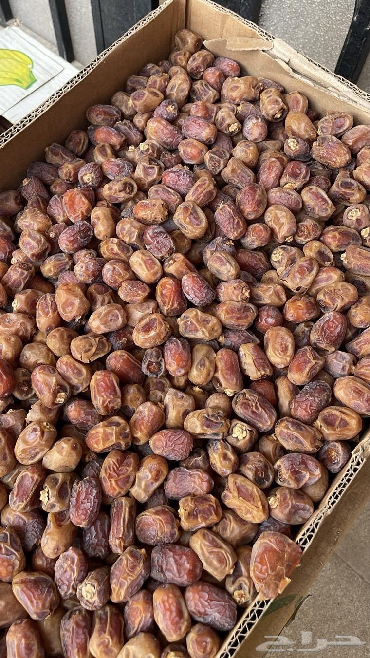 تمر للبيع وادي الدواسر64533204800131111