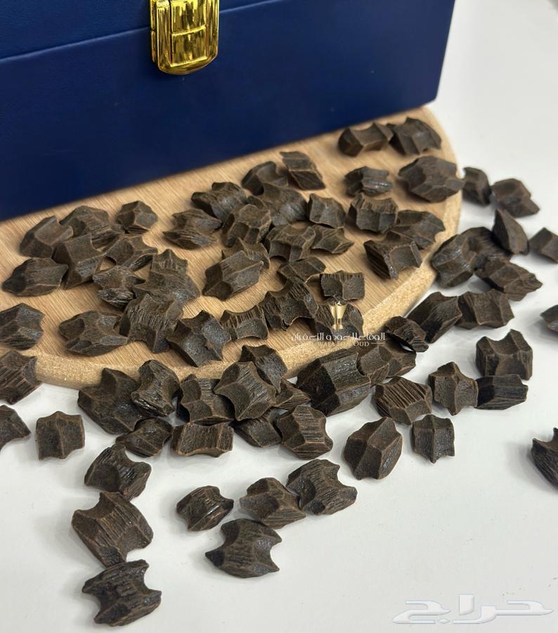 عود الفراشة (عود البيت )64534127576961110