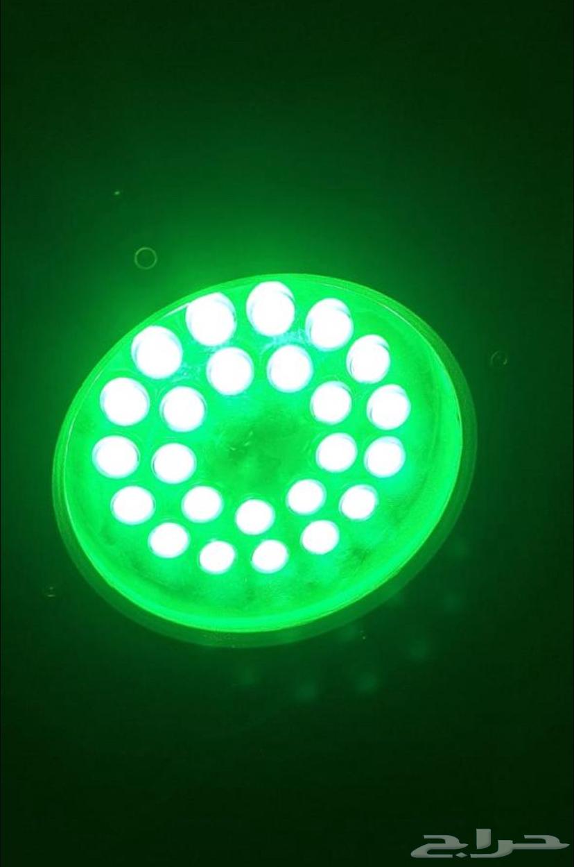 كشافات خضراء لليوم الوطني والتوصيل مجاني في الرياض64531674226050112