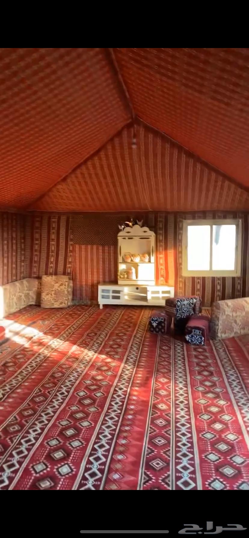 للبيع بيت شعر64533119078913111