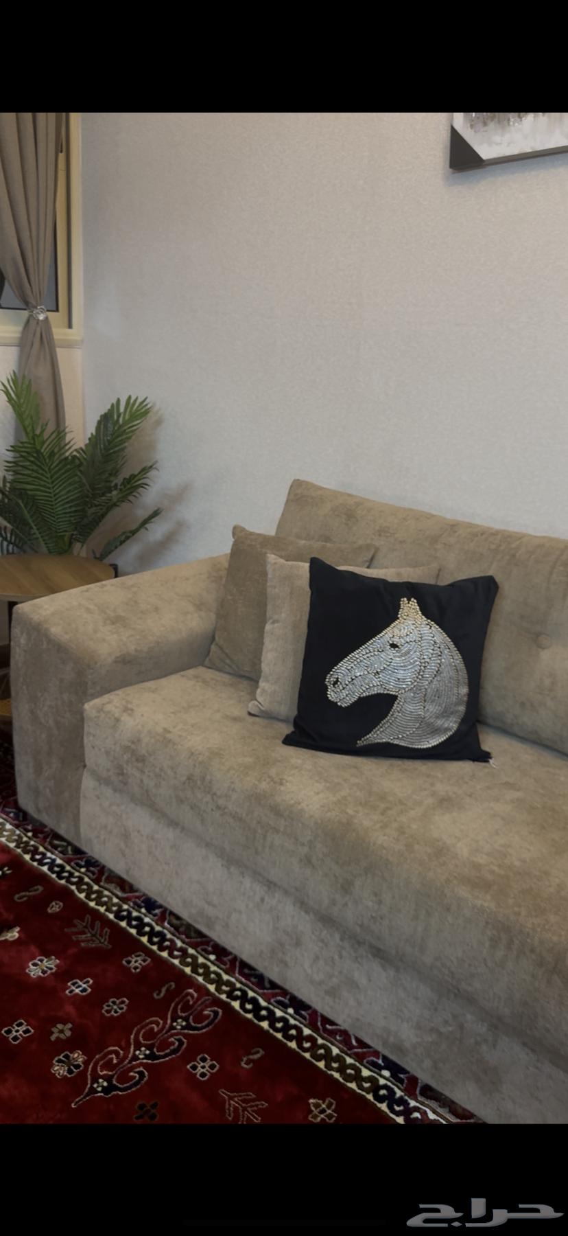 كنب بيج64531068221699113