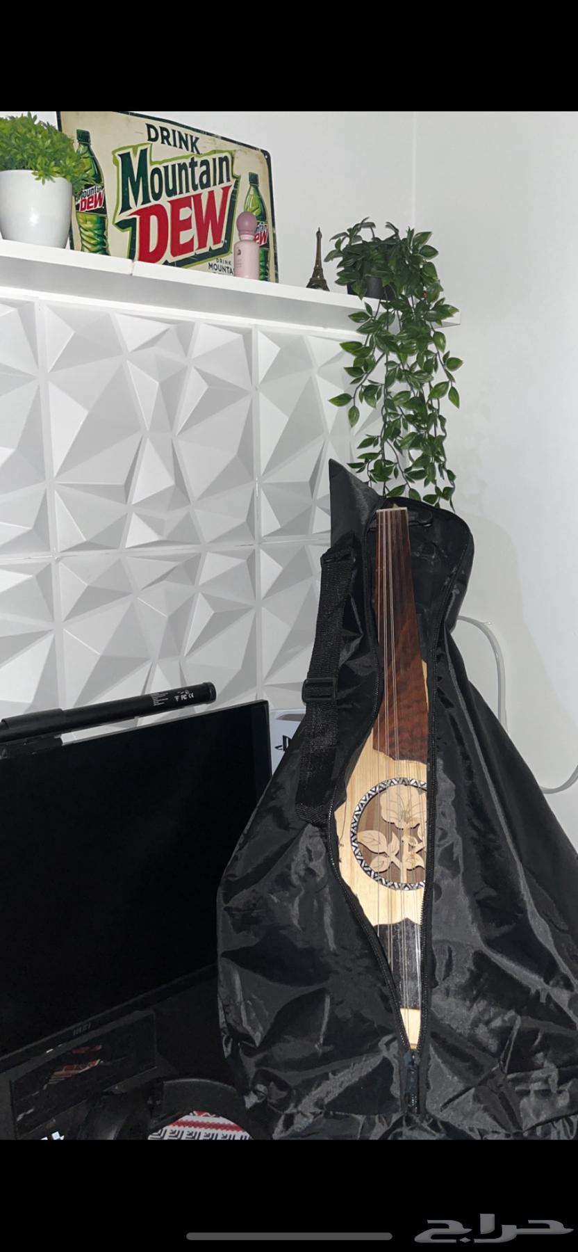 عود للبيع64531477071105111