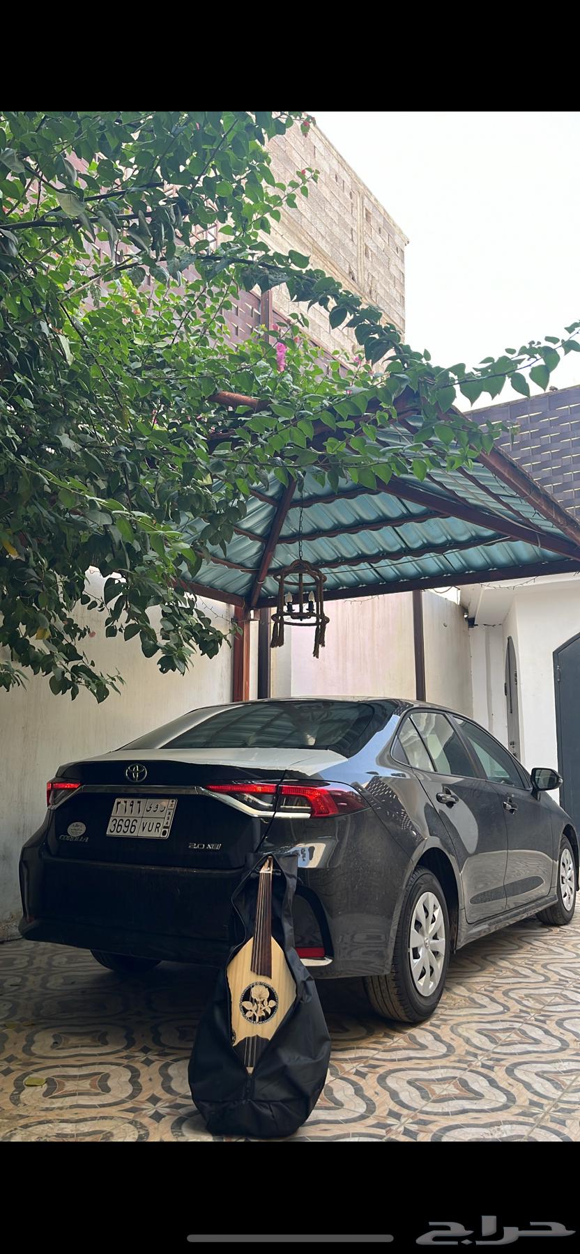 عود للبيع64531477071105112