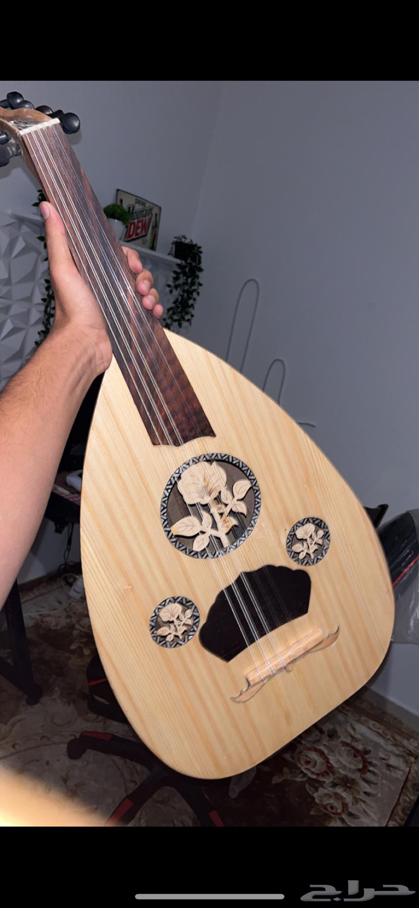عود للبيع64531477071105113