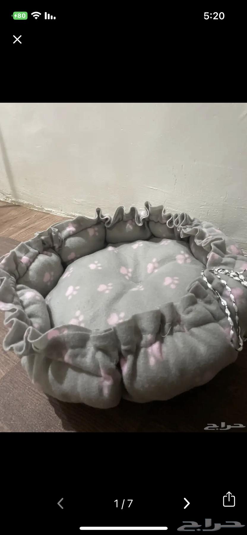 اغراض قطوه للبيع64531505289089113