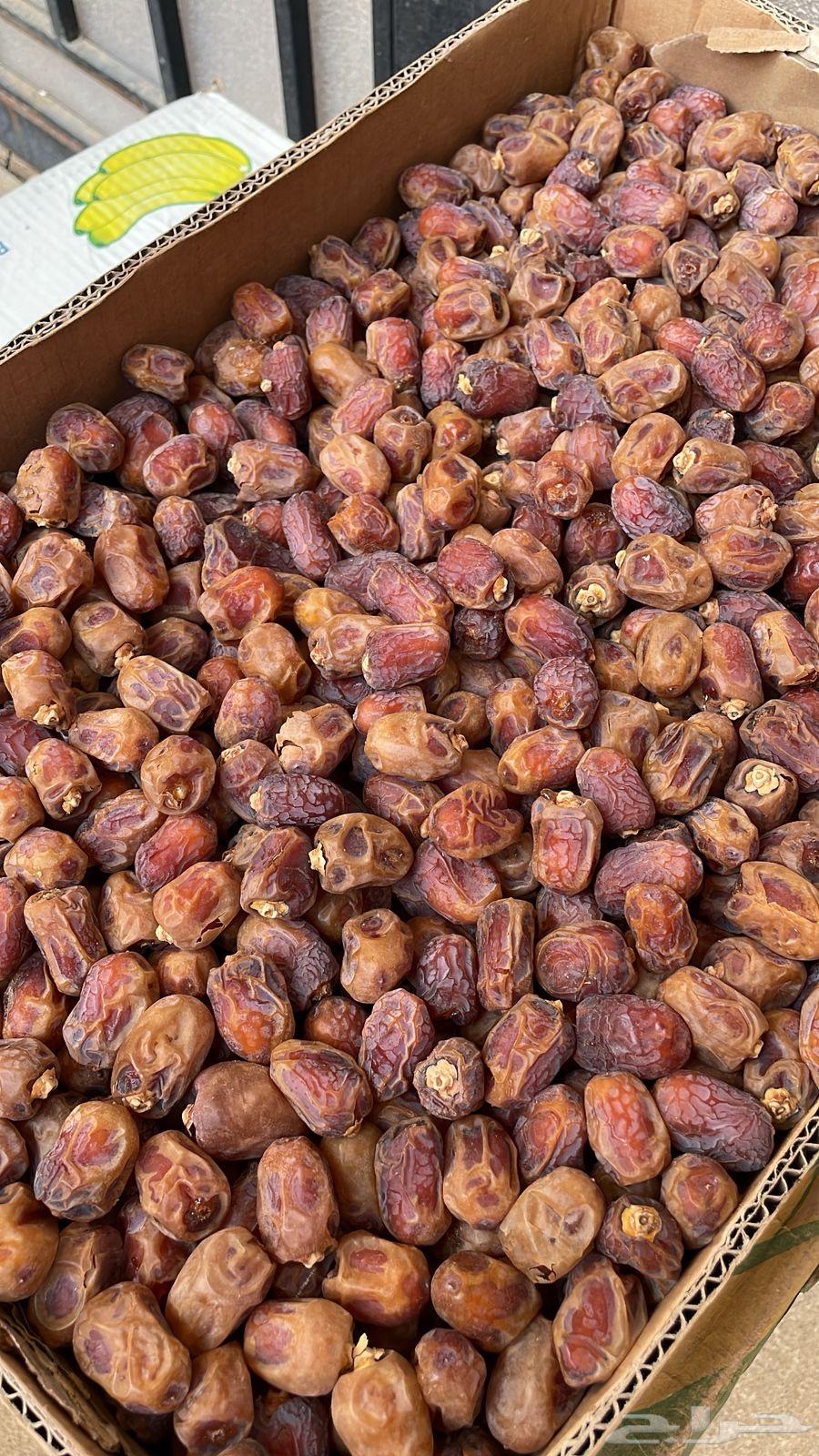 تمر للبيع وادي الدواسر64533204800131110