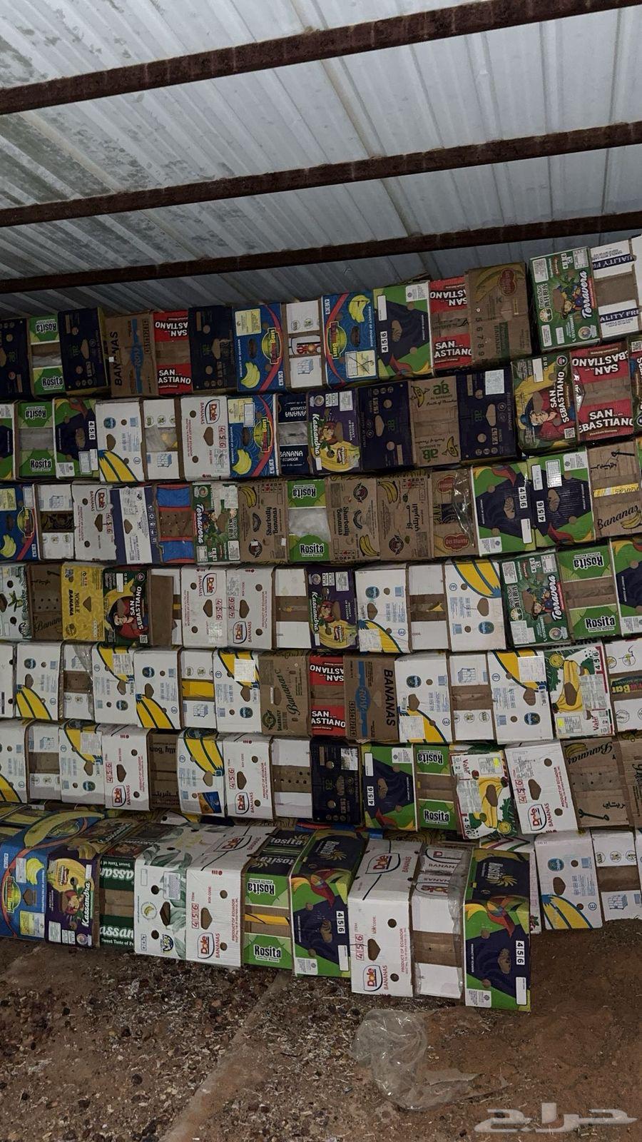 كراتين موز خوات الجدد ع الشرط64534775414913111