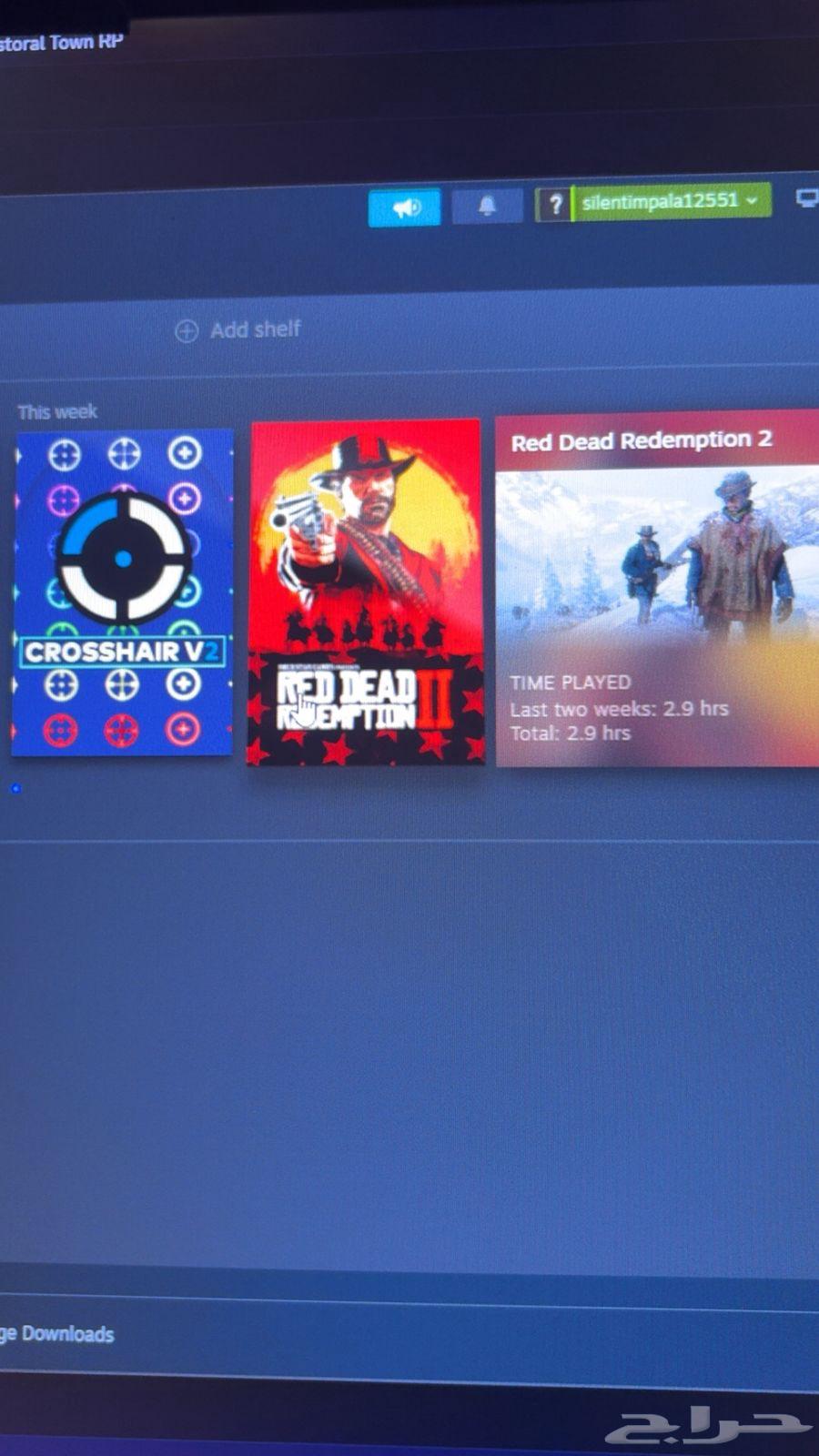 Steam account with Red Redemption 264533832390017111