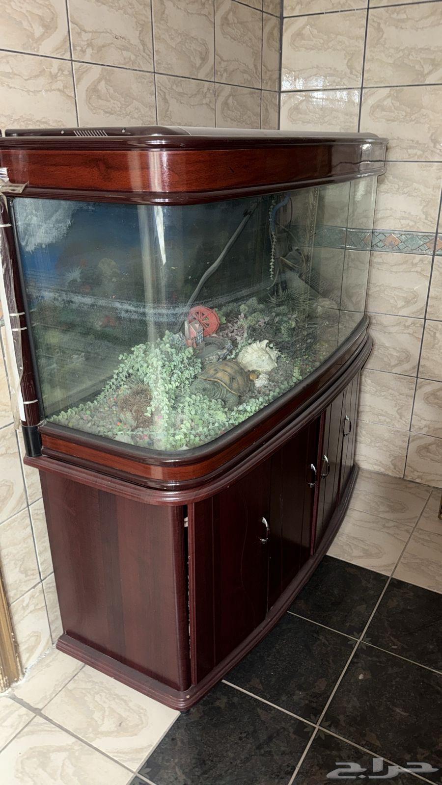 حوض أسماك كبير للبيع64444660632067112