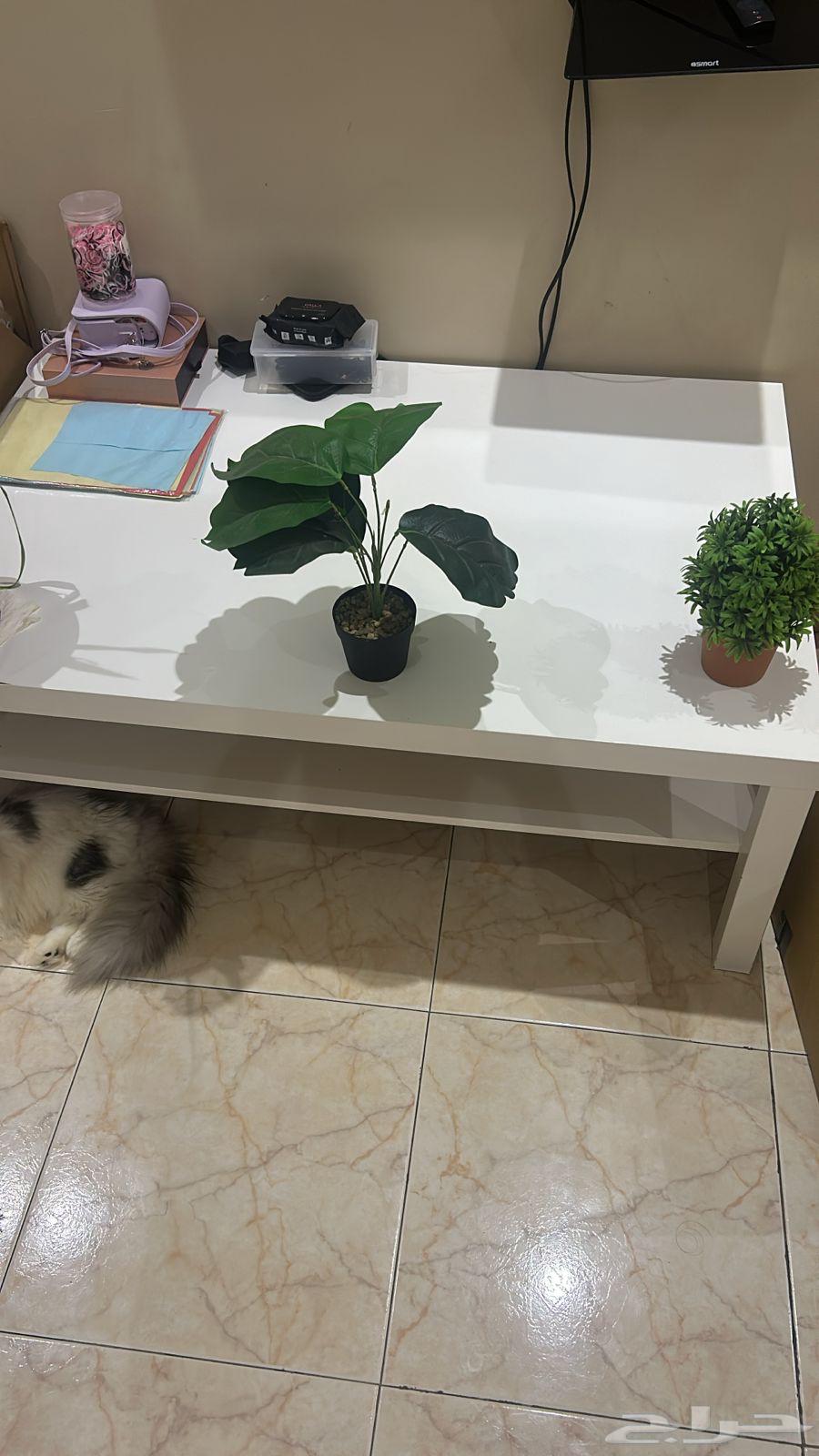 للبيع اثاث بيت64534971502209112