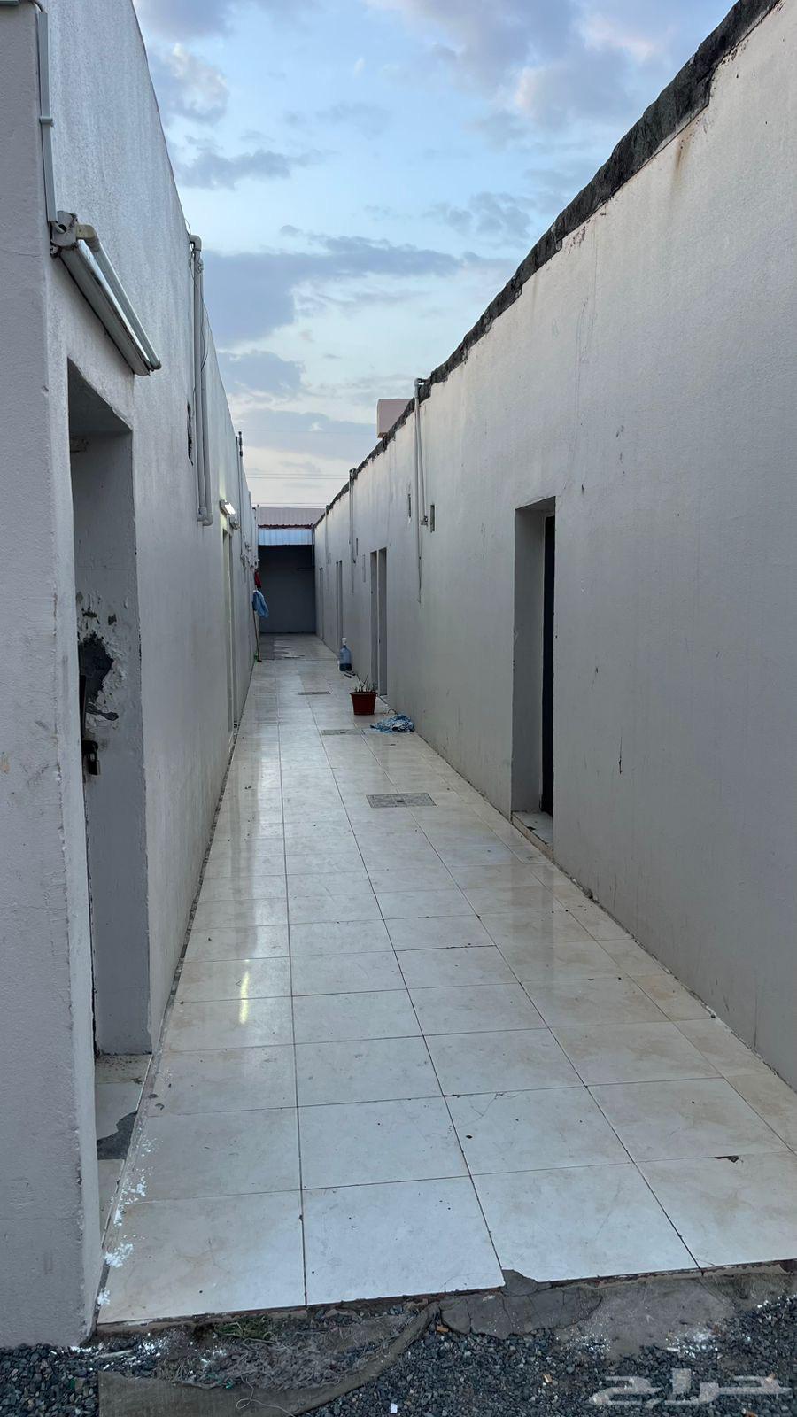 Rest area and rooms for rent in Al-Wasat neighborhood behind Al-Tawfiq station64144469991297113
