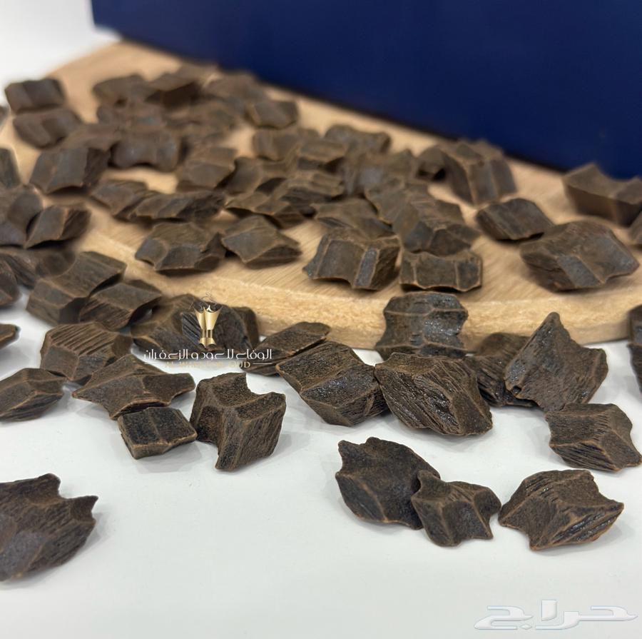 عود الفراشة (عود البيت )64534127576961111