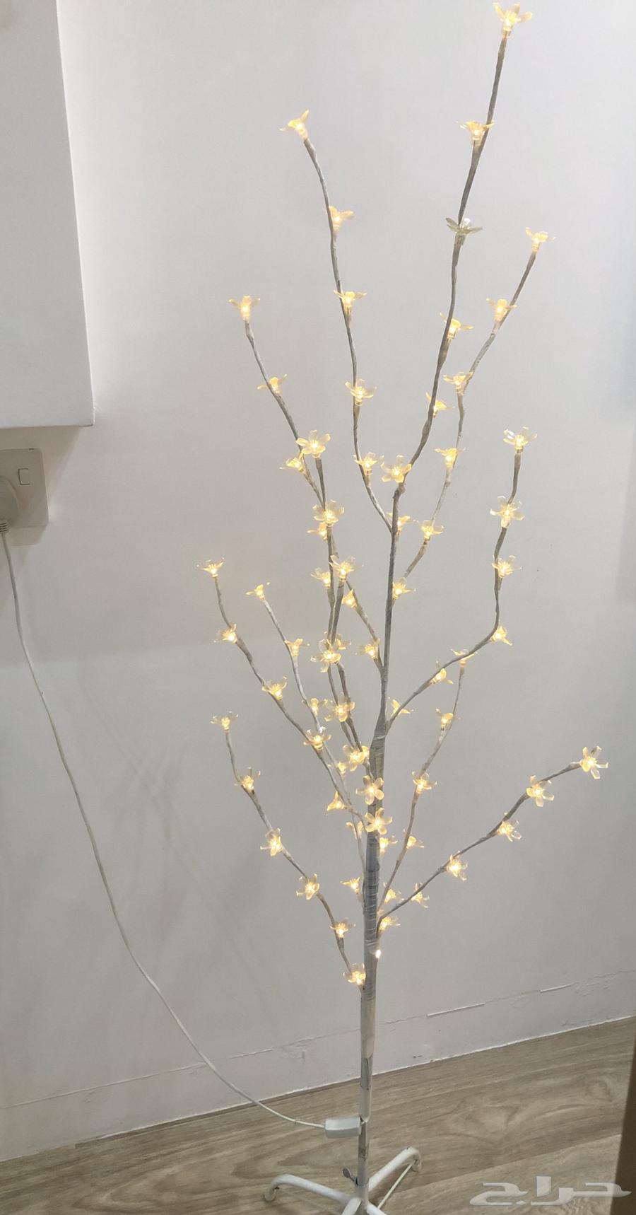 للبيع زوليه تركي واثاث64529840544129114