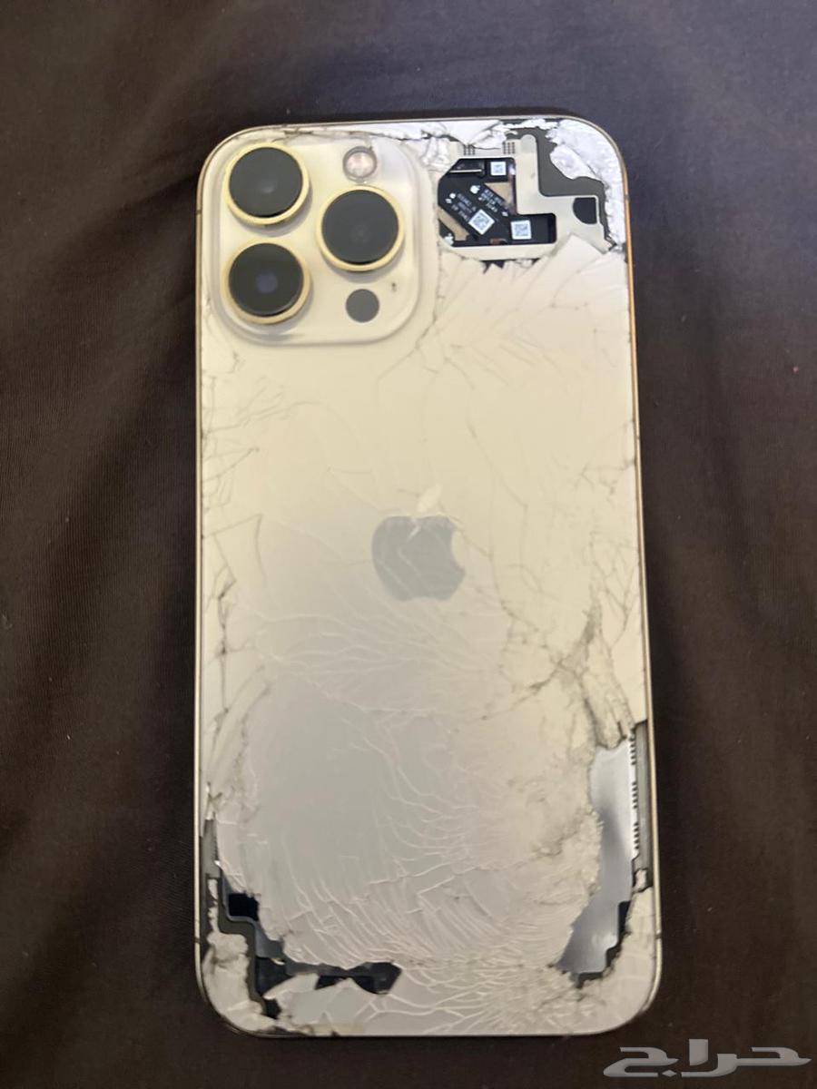 iPhone 13 Pro Max64528993141762113