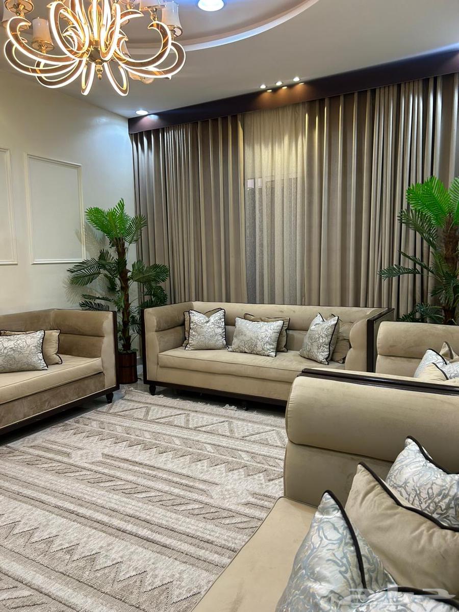 Used sofa with new usage64534971431682111