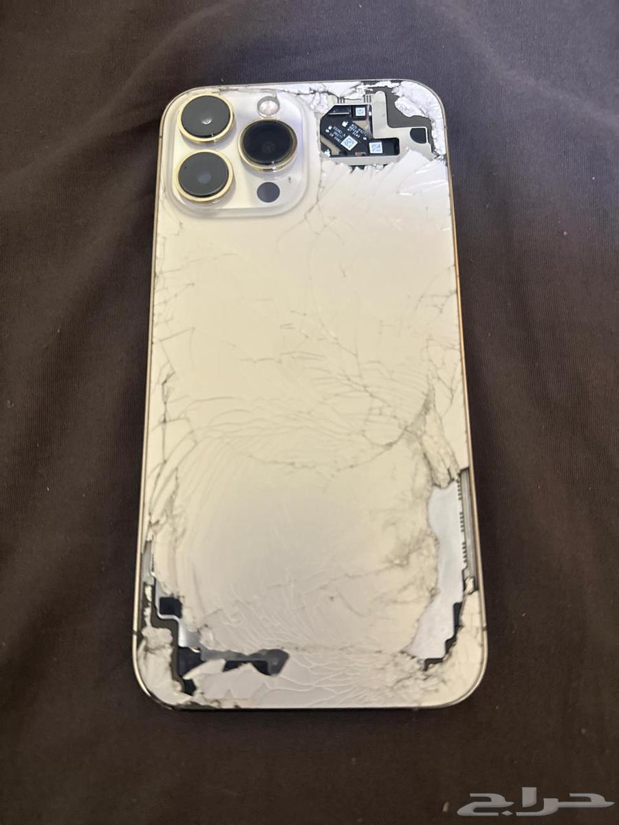 iPhone 13 Pro Max64528993141762112