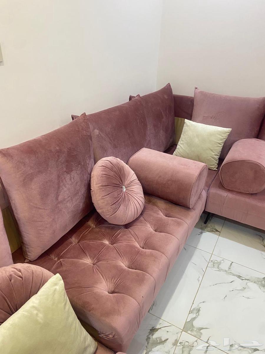 Clean sofa with Dunlop foam and original wood64527628359810111