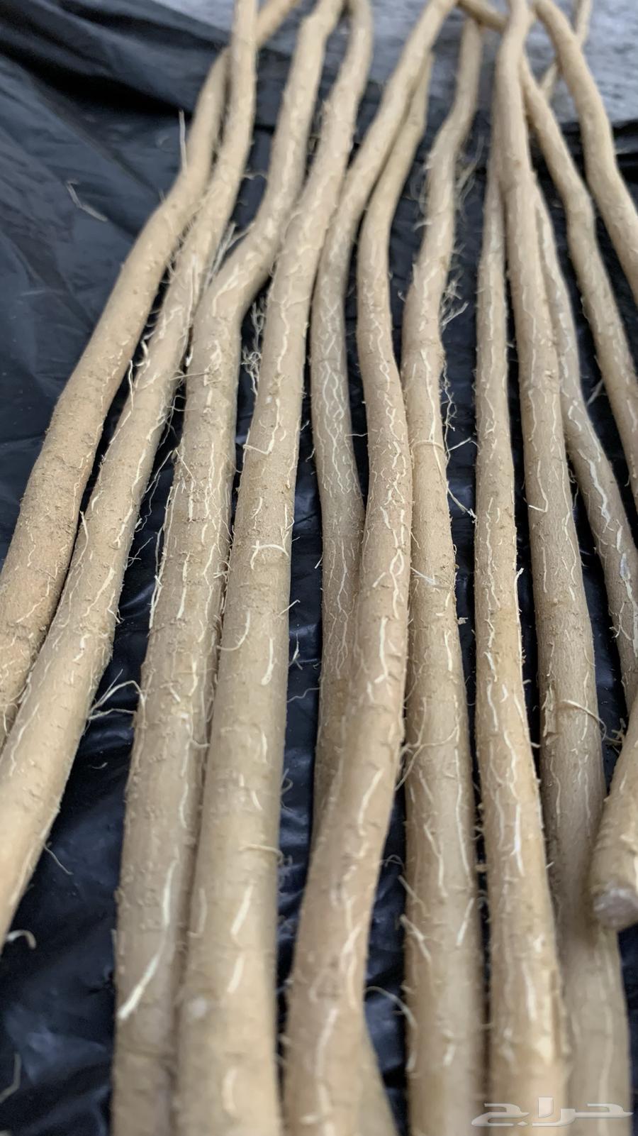 Al-Arak Miswaks64542133235969110