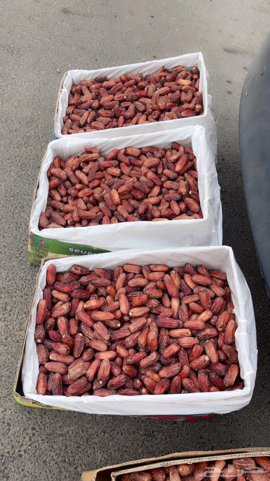 6 كراتين تمر صفري بيشه ترج متواجد فالنماص حتى العصر64535134019586110