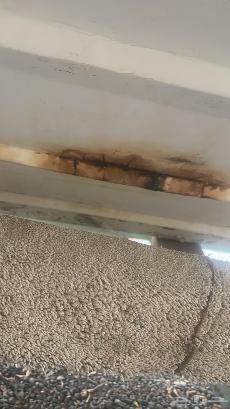 قارب الروضان قديم 21 قدم64541478375939113