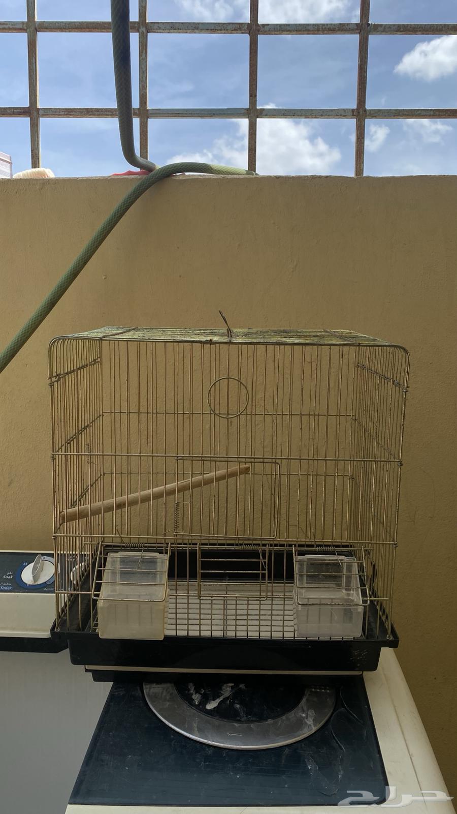 قفص ذهبي انيق64537770550659110