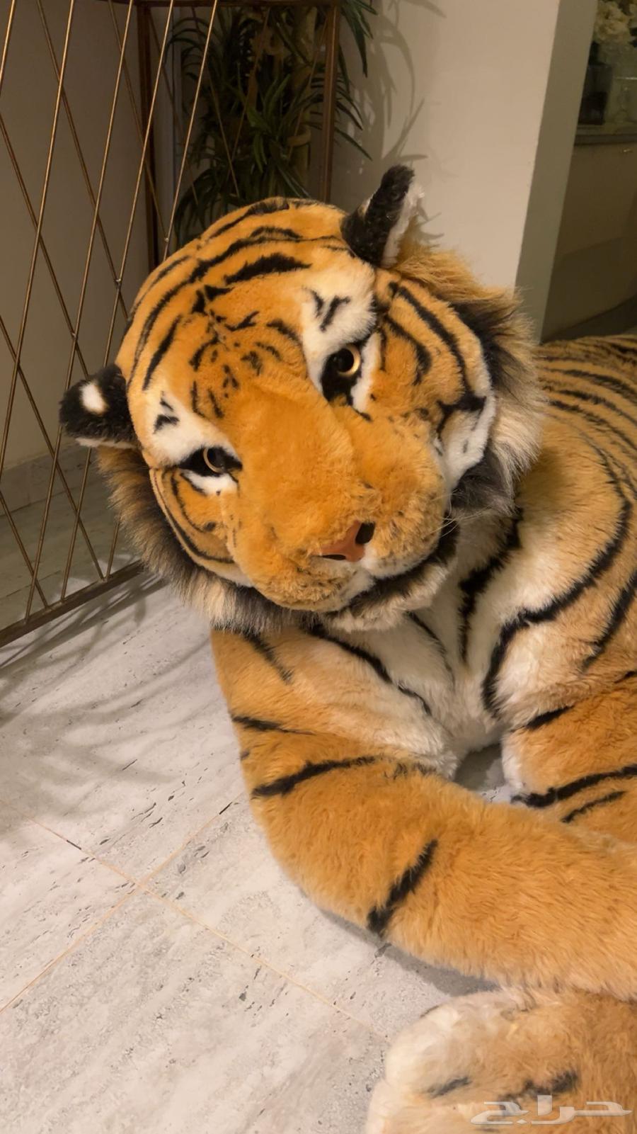 دمية نمر محشو كبيرة طولها مترين64542785971843111