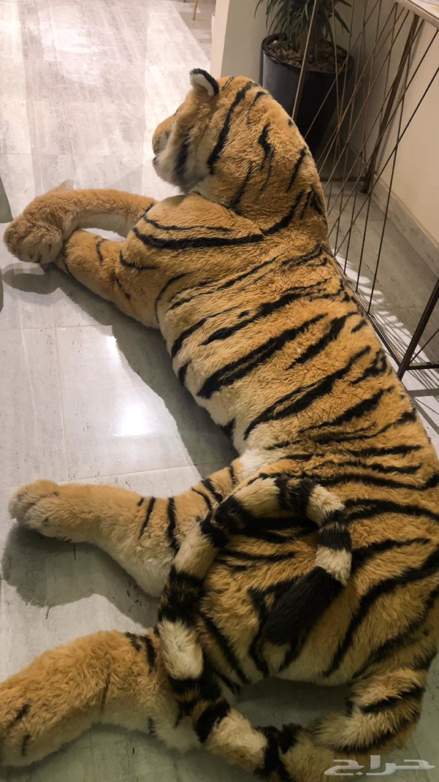 دمية نمر محشو كبيرة طولها مترين64542785971843113