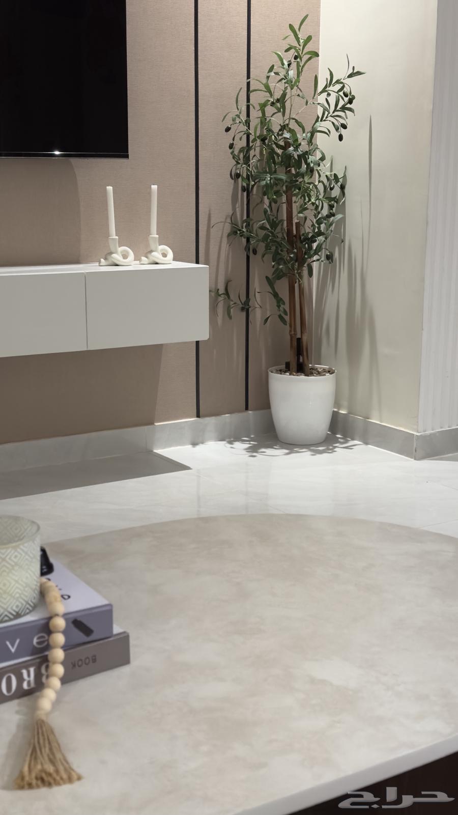 Olive tree64540580844290111