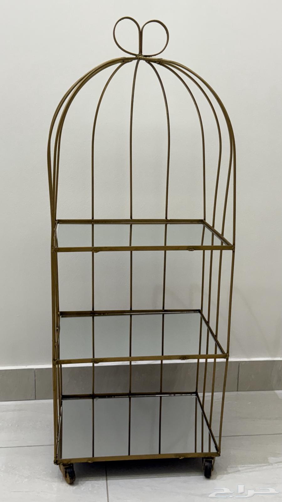 رفوف دبش عروسه64542899022979110