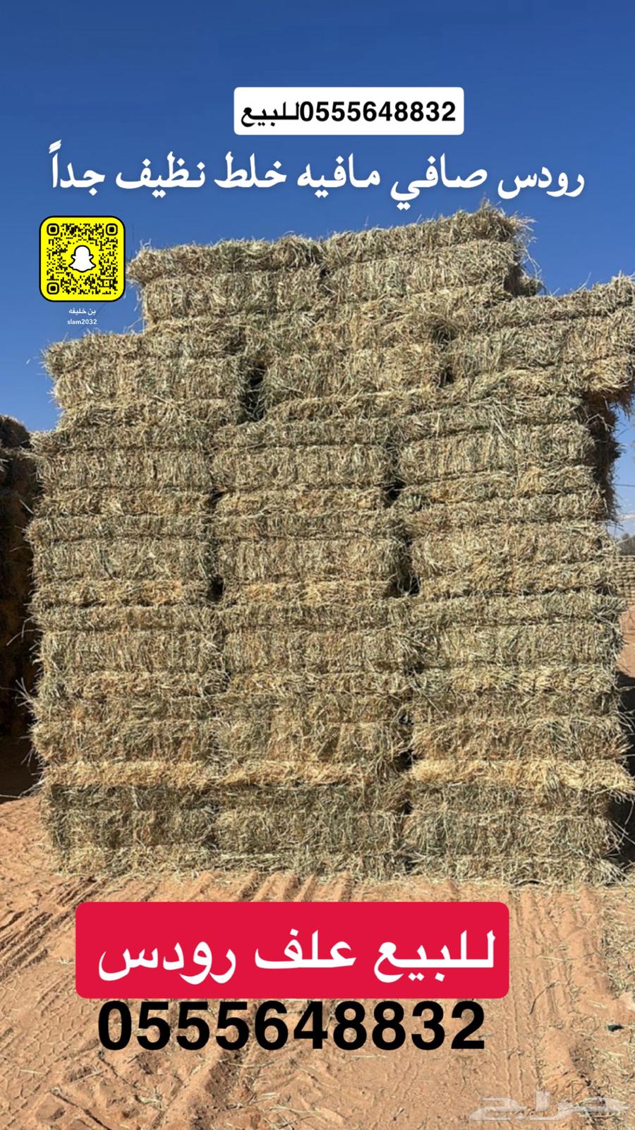 علف رودس نظيف من الخلط والحشايش اقل بيع تريله سعره 2564539797195265110