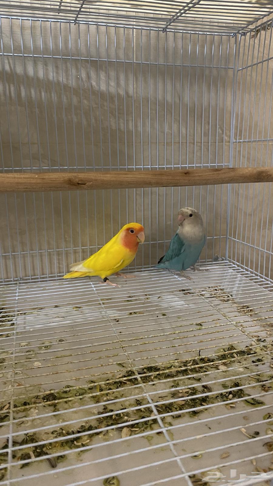 Day64537714895235110