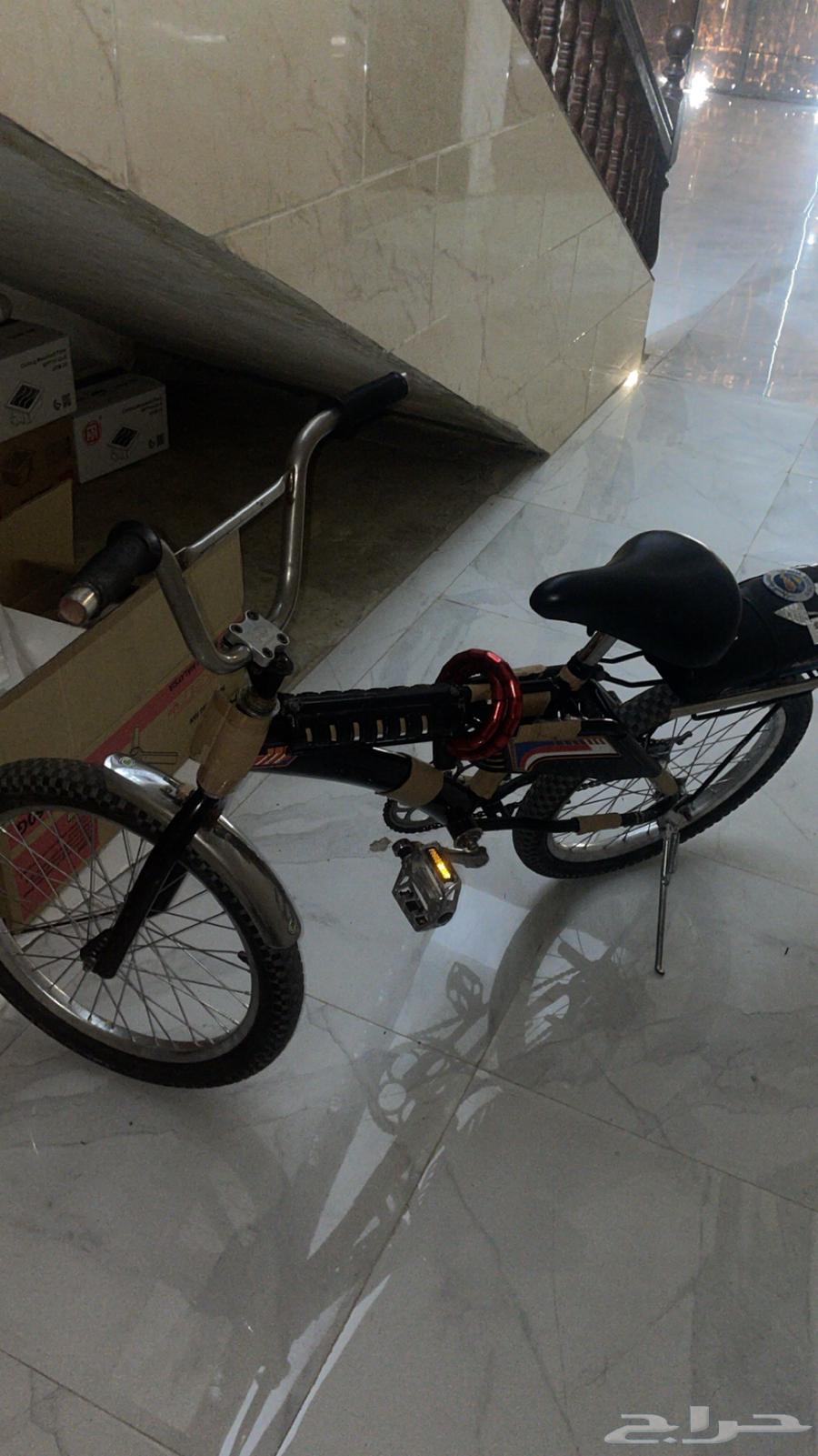 رامبو اندنوسي اصلي64542955419138112