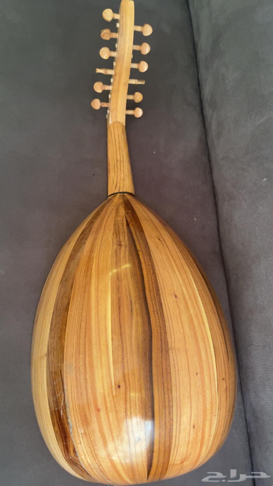 عود مصري للبيع64536809211522111