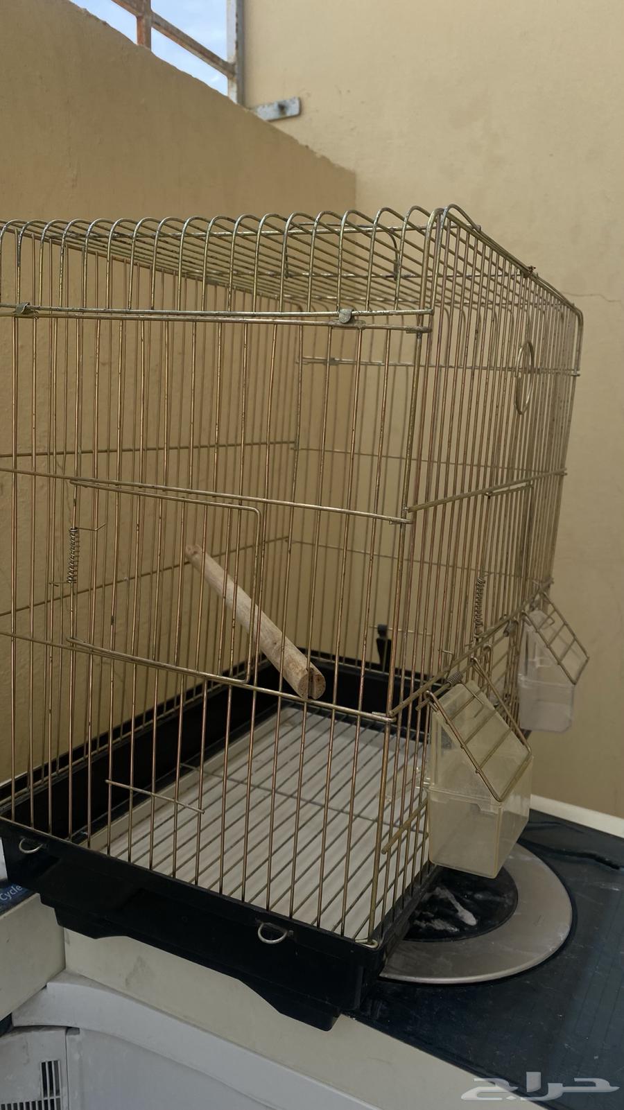 قفص ذهبي انيق64537770550659112