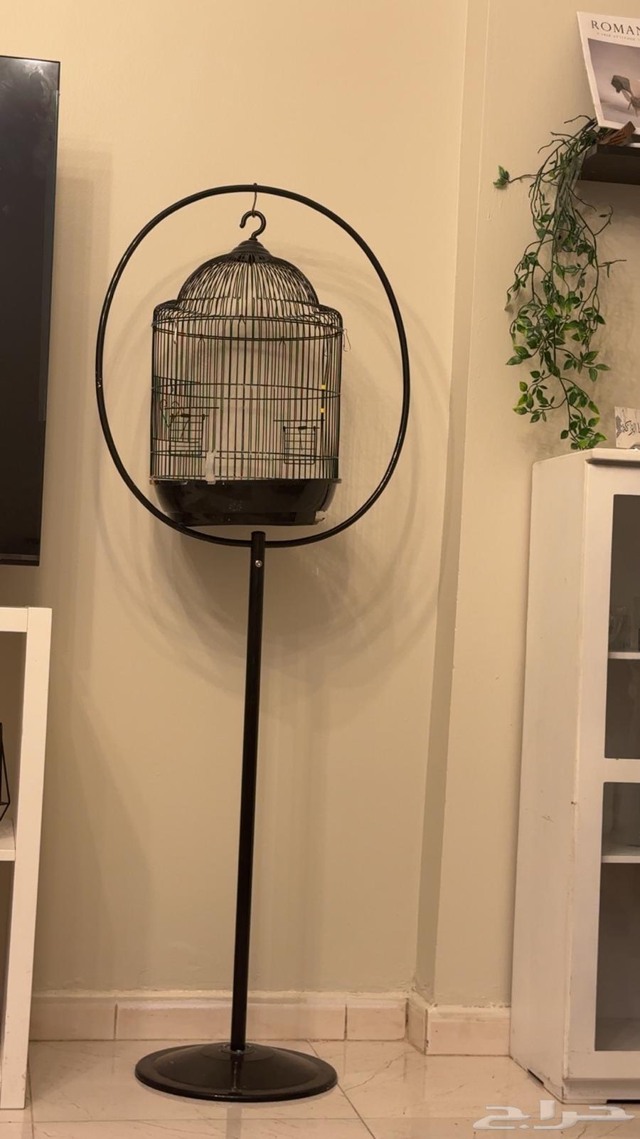 استاند حامل مع فقض الطيور64536975712898110