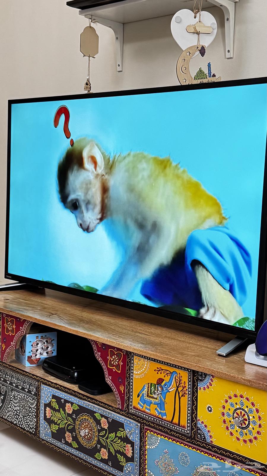 تلفزيون شاشة 55 بوصة 4k toshiba مع قطعة شاومي64536237951491112