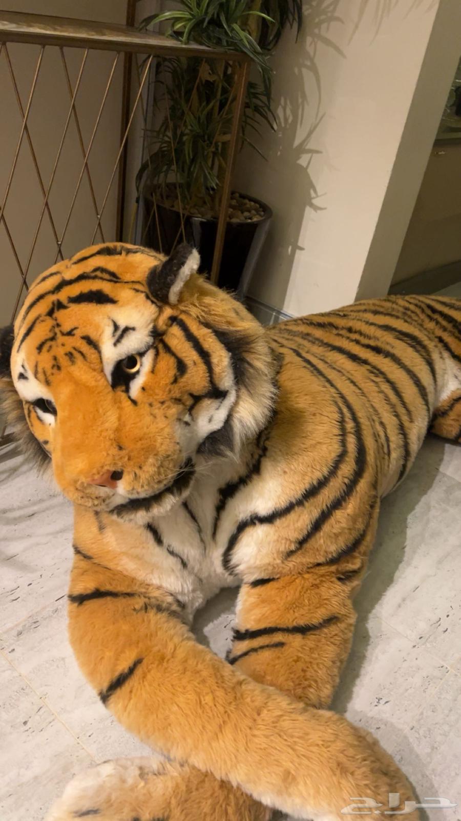 دمية نمر محشو كبيرة طولها مترين64542785971843112