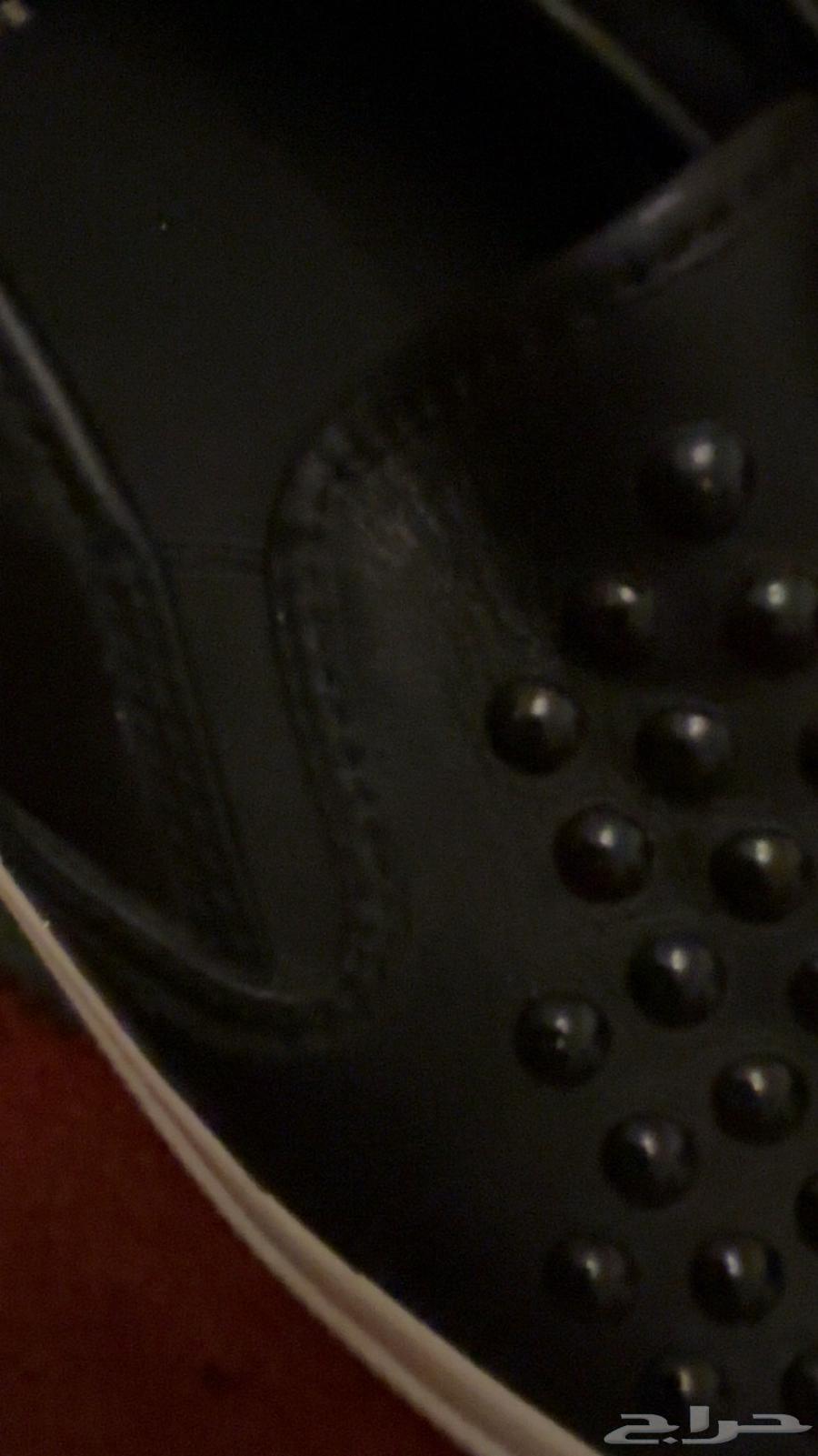 حذاء ماركة coach نيويورك ( كوتش )64535317008514112