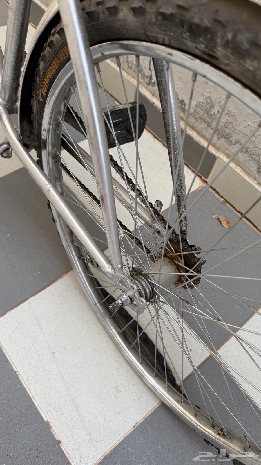 للبيع سيكل مقاس 2664539684189442112