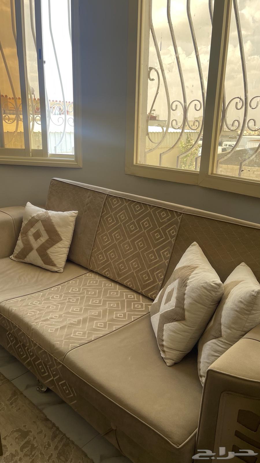 كنبتين نظيفة كل وحدة 100 ريال64538345314049113