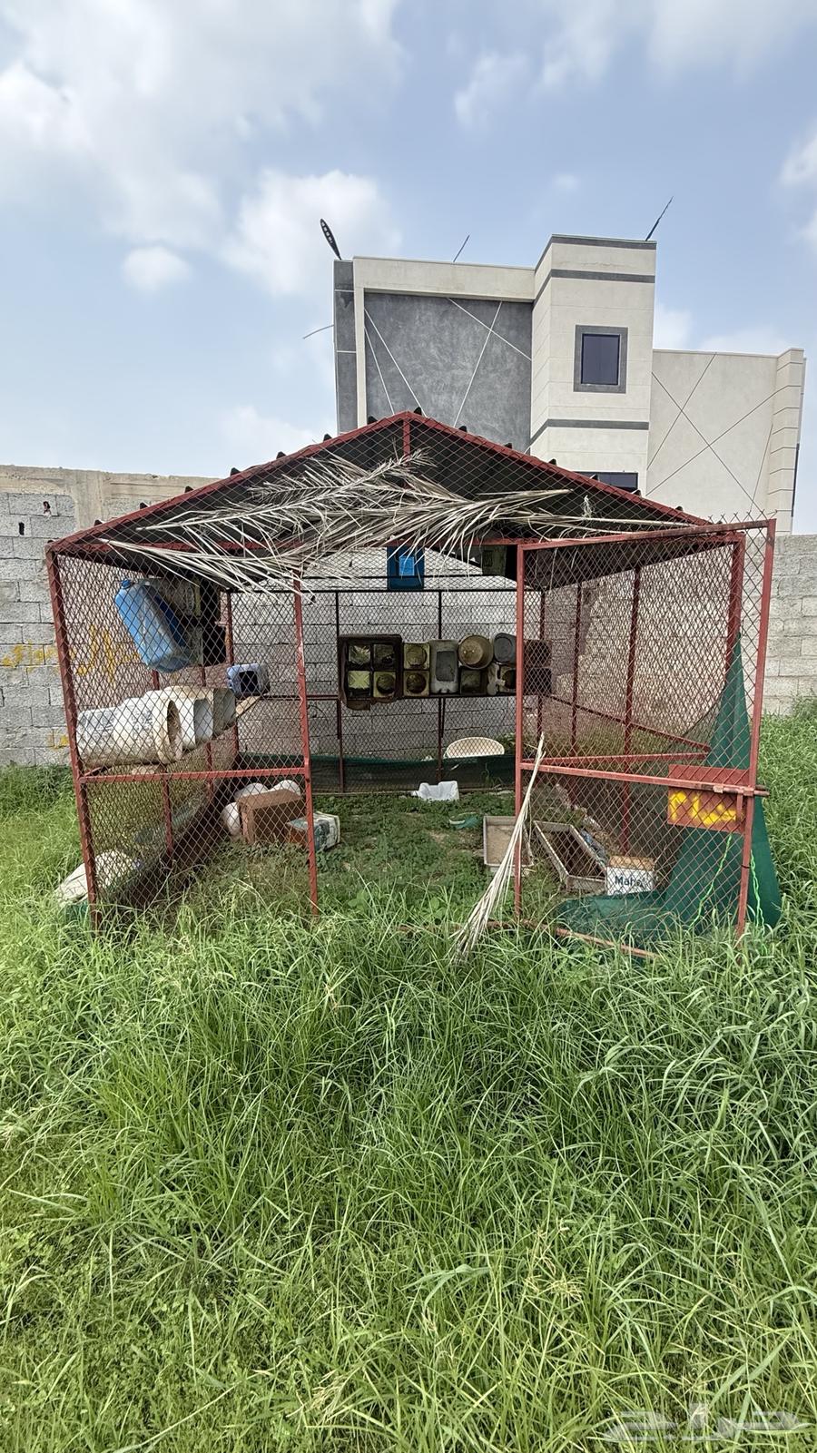 Pigeon cage three meters in length and three meters in width, price 85064538415560194111