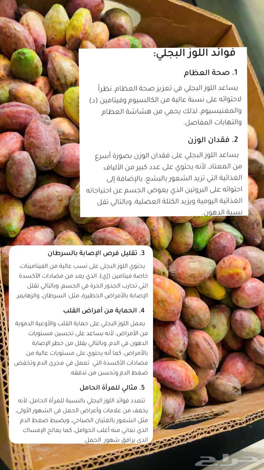 Fresh local almonds available in Jeddah, the fruit of the righteous64536739408002114