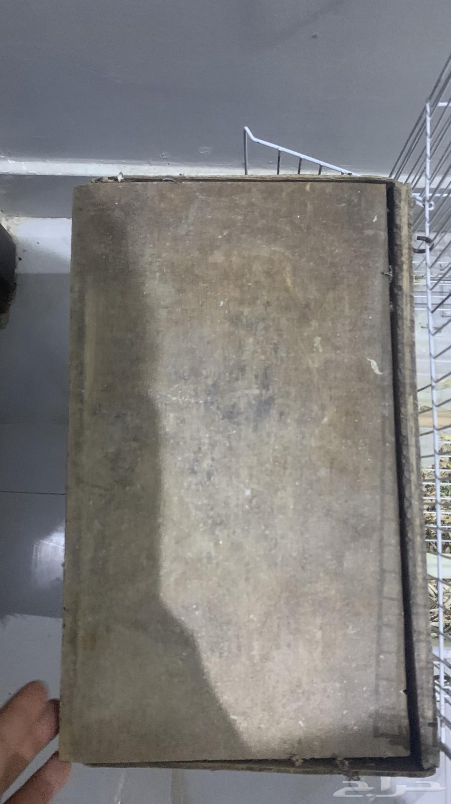 زوج كروان اليف منتج64537254233091112