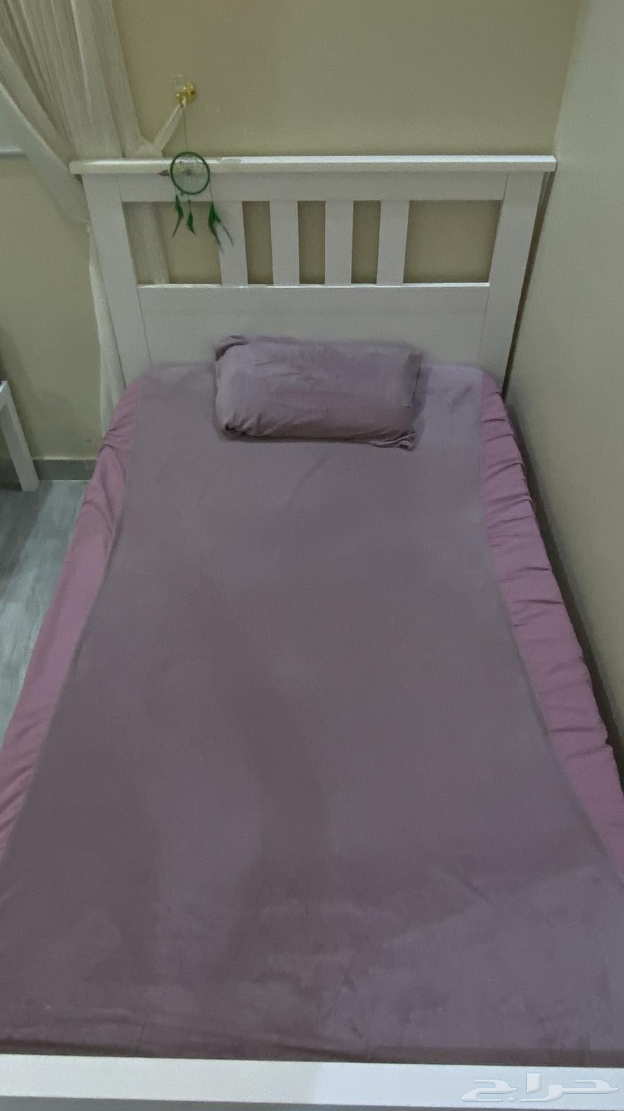 سريين للبيع64543351977474111