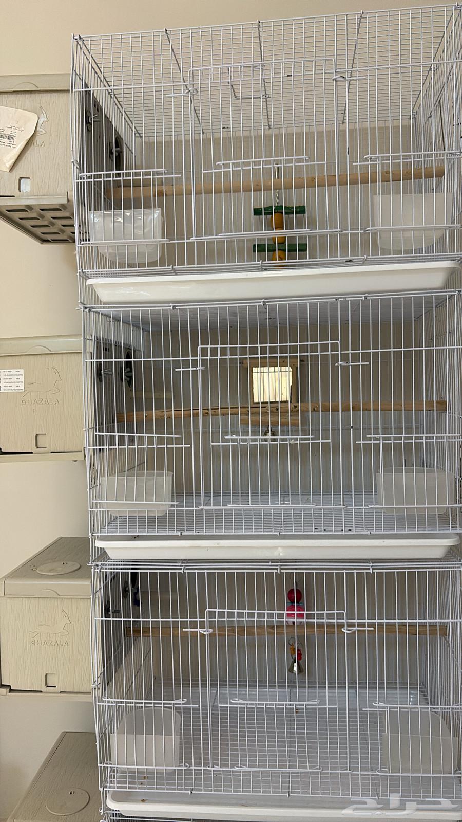 أقفاص مقاس 600 جديده مع بياضات غزاله المصريه64535541281281111