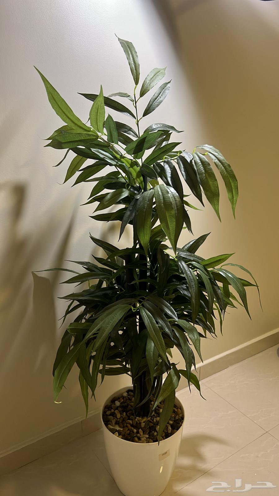 Tree64535069827714110